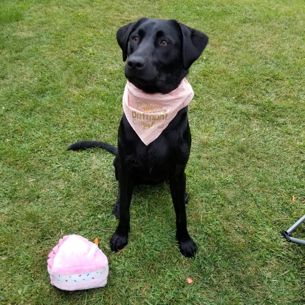 Meet your Posher, Shauna